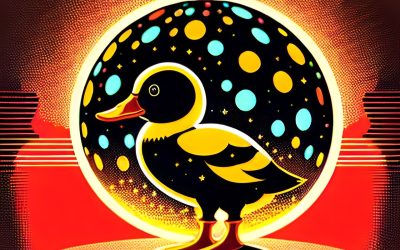 Disco Duck Gallery