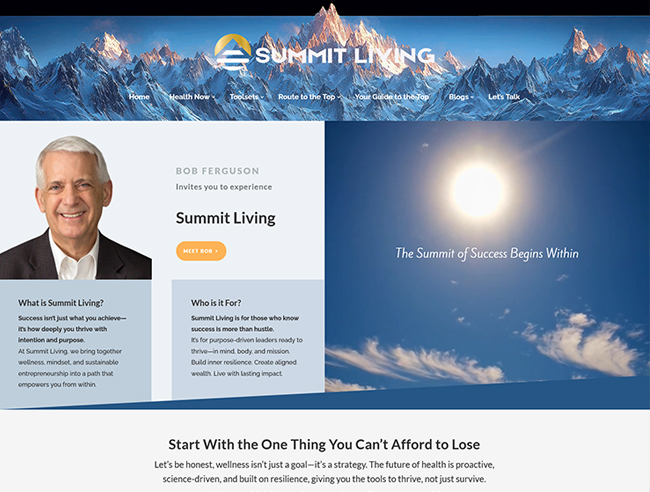 Website Design for Multple Business Streams